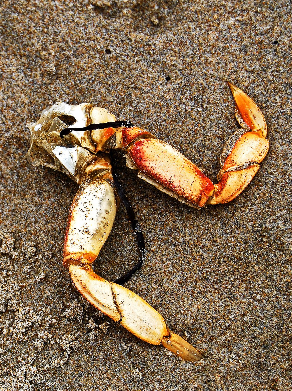 OR 112-2 OFF US 101 PACIFIC CITY 6-12