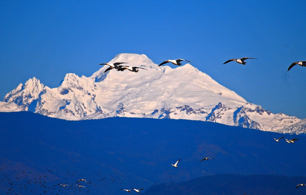 WA 7-1 SKAGIT NR BURLINGTON 12-09