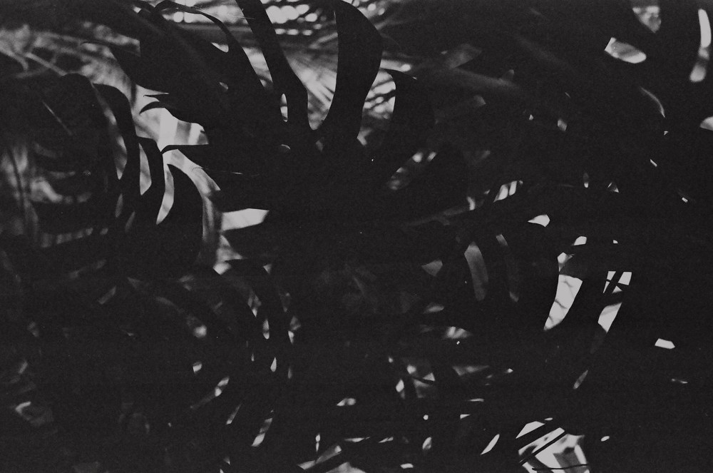 45e75253ff182a6a7625d5a5f0bcd14a08934a64a3d7aae0f882bc4fb617f82e