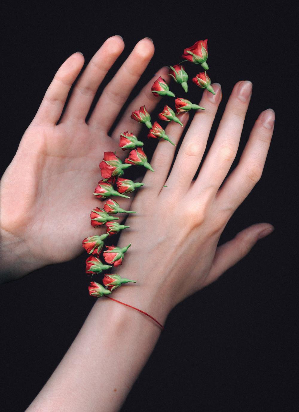 olia-bondarenko-2BxW_vXZM6E-unsplash