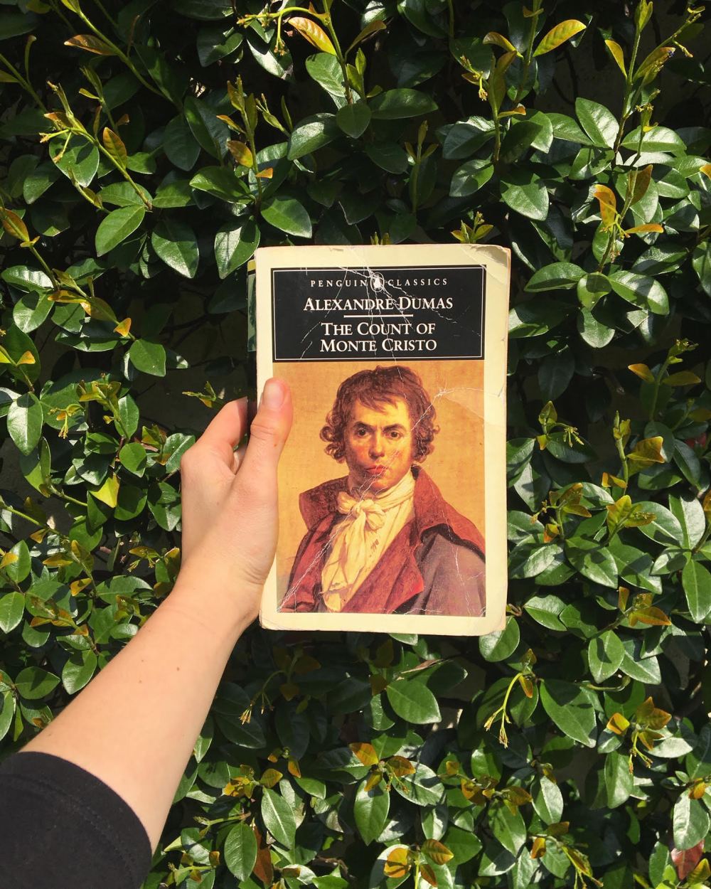 the count of monte cristo