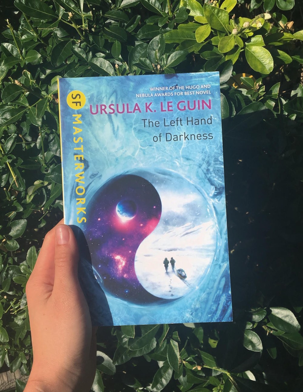 the left hand of darkness