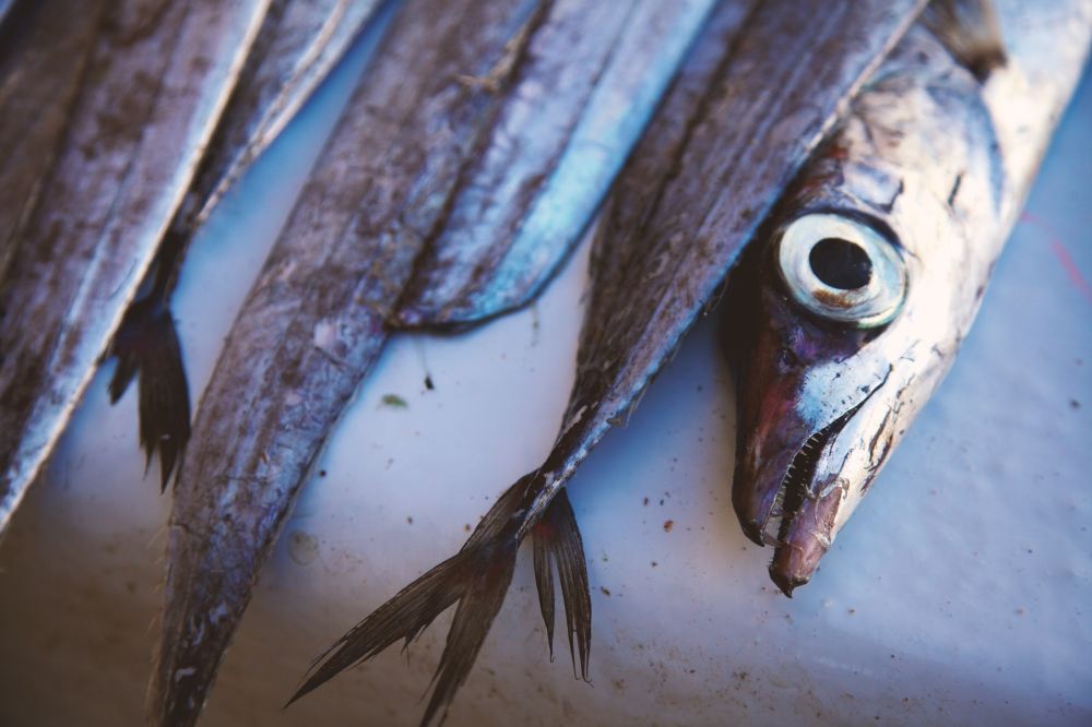 ben-ostrower-g_AfI_O2yqA-unsplash