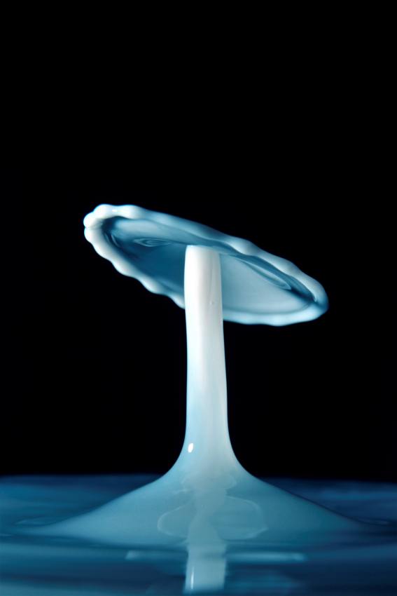 aung-soe-min-6eFqAdkeRKQ-unsplash